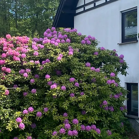 Apartmán Im Land Der 1000 Berge Neuenrade